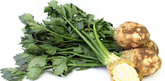 Țelina este excelentă pentru sănătate! Are multe beneficii si este bine sa mâncăm frecvent