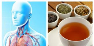 Ceaiuri pentru purificarea Plămânilor – inclusiv pentru fumători şi pentru cei care s-au lăsat de fumat