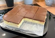 Prajitura rapida care se topeste in gura. Fara coacere, decat puneti crema in tava si asteptati sa se raceasca