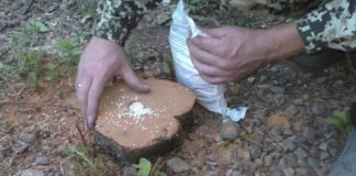 Cum să scapi de un ciot fără a dezrădăcina. Cea mai rapidă și eficientă metodă