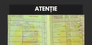 Ce pensie primești dacă ai cotizat doar 15 ani