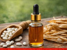 nctura din păstăi de fasole – remediul naturist folosit pentru reglarea glicemiei și susținerea rinichilor