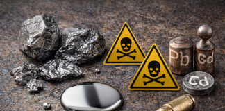 Metalele grele din corp – „dușmanul ascuns” și plantele care pot susține detoxifierea naturală