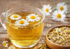 🌼 Ceaiul de mușețel – beneficiile pe care puțini le cunosc și modul corect de consum