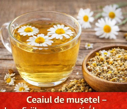 🌼 Ceaiul de mușețel – beneficiile pe care puțini le cunosc și modul corect de consum