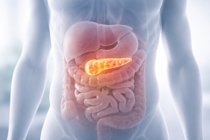 simptome-pancreas.jpg simptome pancreas probleme digestive si glicemie
