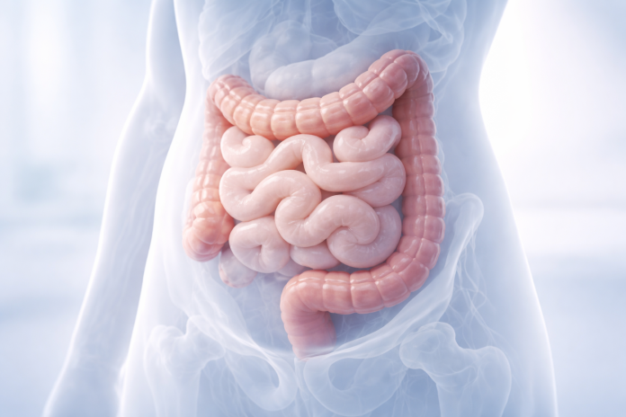 balonare frecventa abdomen cauze digestive