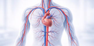 Semne că circulația sângelui nu este bună: simptome care apar zilnic fără să le observi semne circulatie slaba simptome zilnice