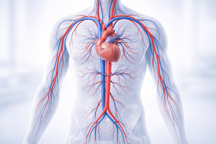 semne circulatie slaba simptome zilnice