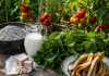 6 îngrășăminte naturale pe care le ai deja acasă. Mulți grădinari le folosesc la roșii în luna iulie pentru plante mai viguroase și recolte bogate Roșii coapte în grădină alături de cenușă, lapte, drojdie, urzici și coji de banană folosite ca îngrășăminte naturale.